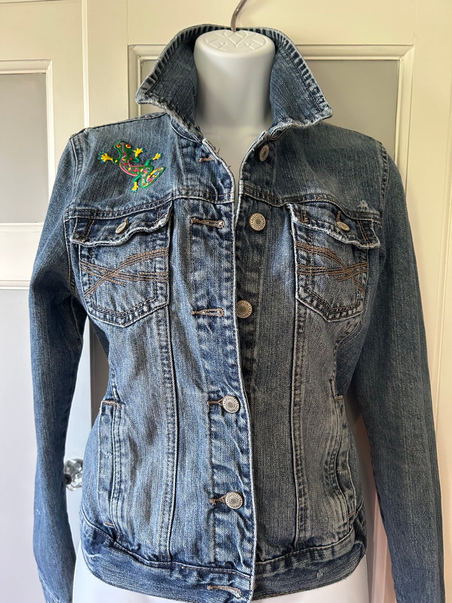 Cute Lizard jacket