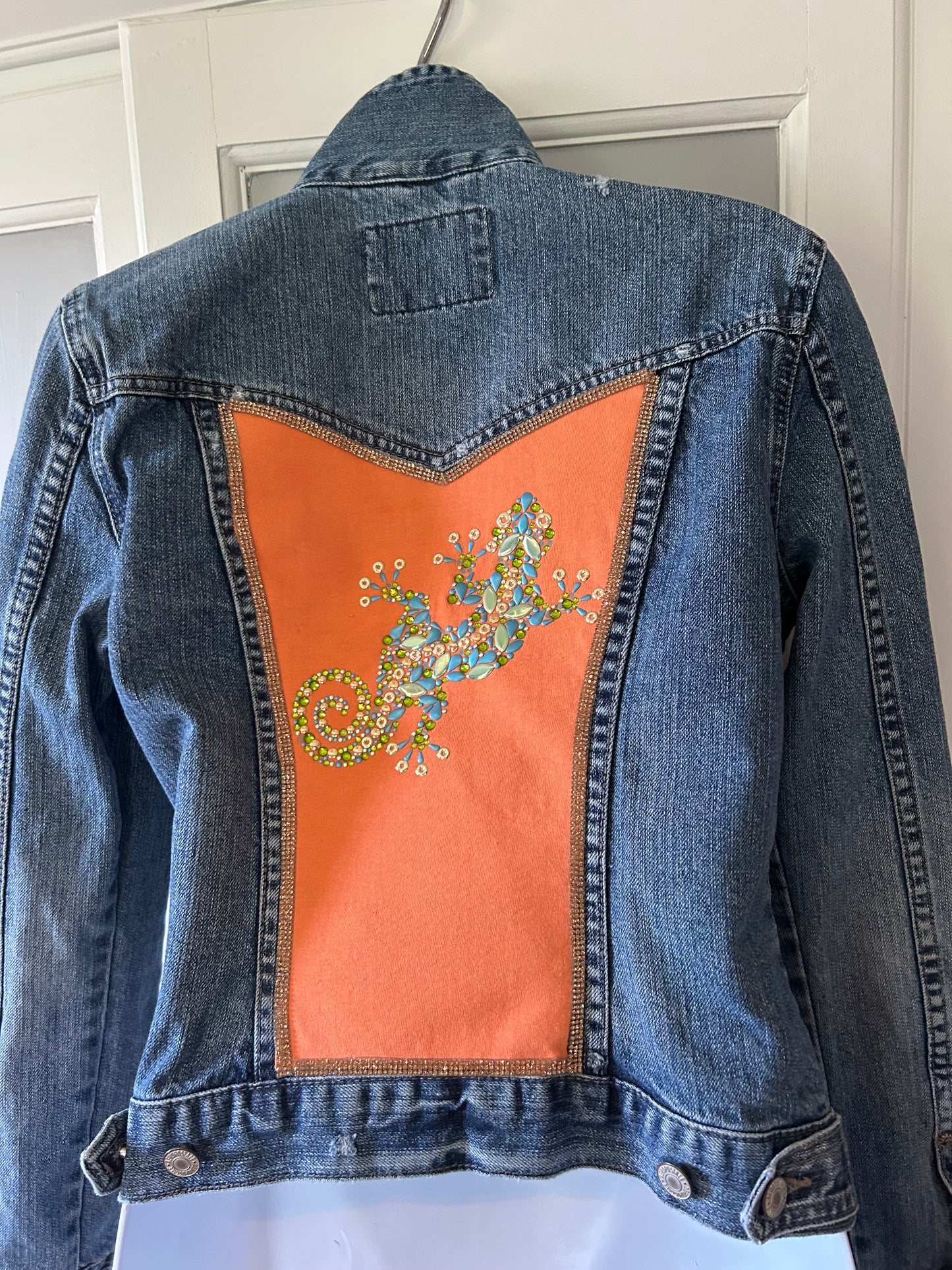 Cute Lizard jacket