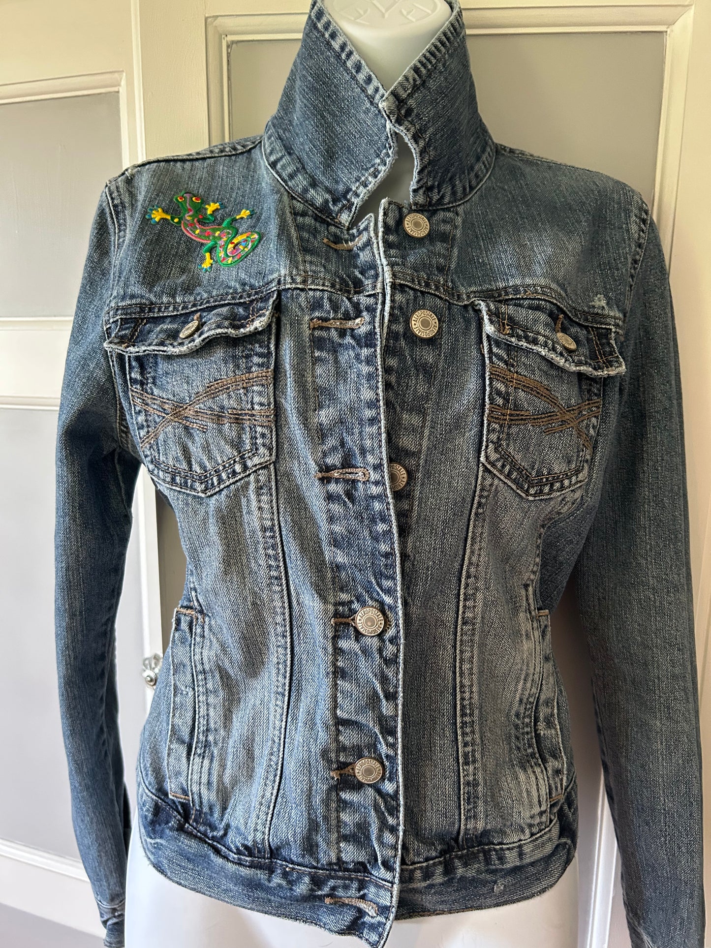 Cute Lizard jacket